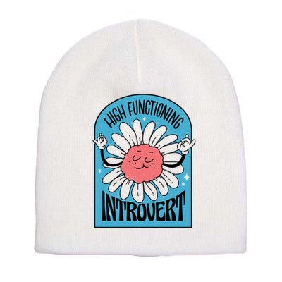 High Functioning Introvert Short Acrylic Beanie