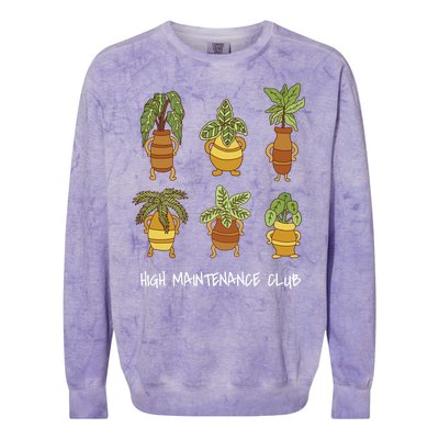 High Maintenance Club Plant Colorblast Crewneck Sweatshirt