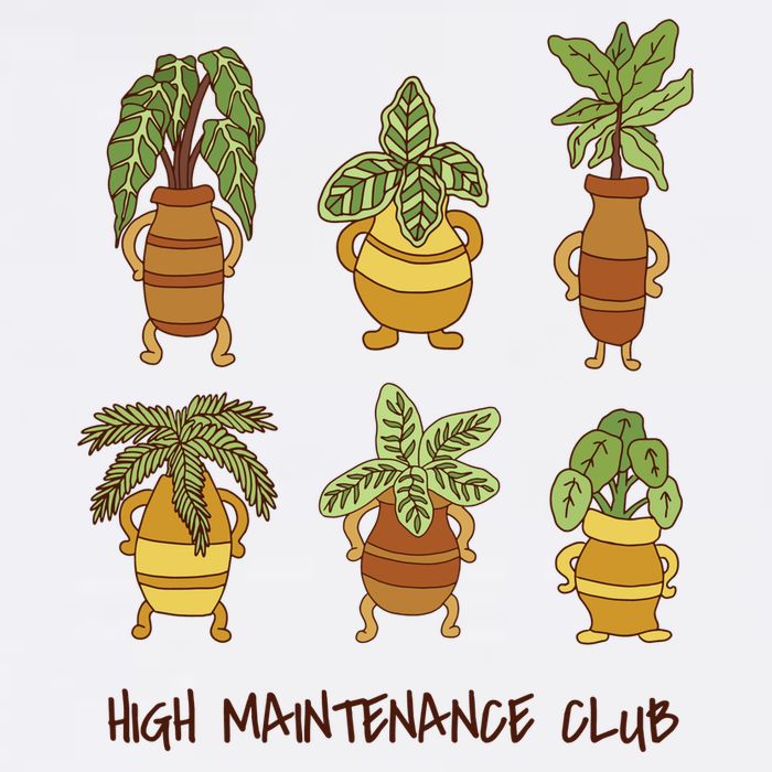 High Maintenance Club Plant Bucket Hat