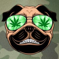 High Off Weed Smiling Pug Legacy Tie Dye Trucker Hat