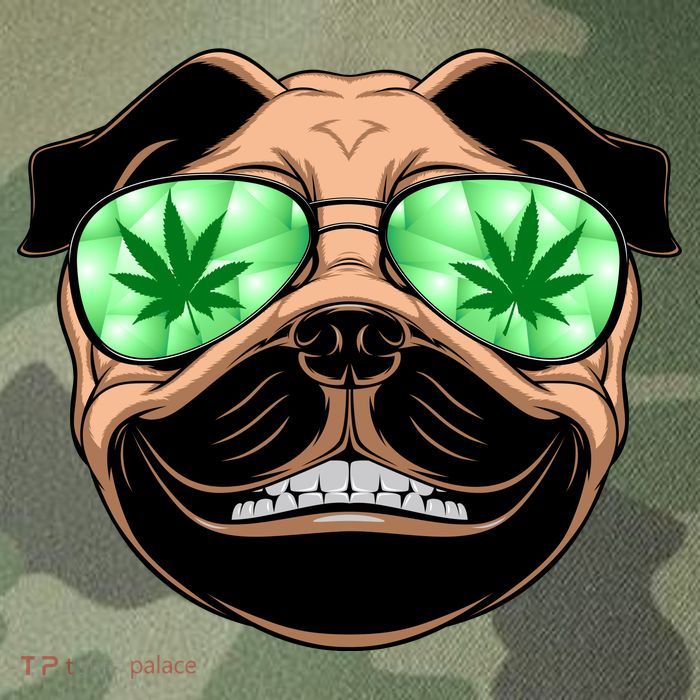 High Off Weed Smiling Pug Legacy Tie Dye Trucker Hat