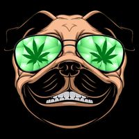 High Off Weed Smiling Pug 7-Panel Snapback Hat