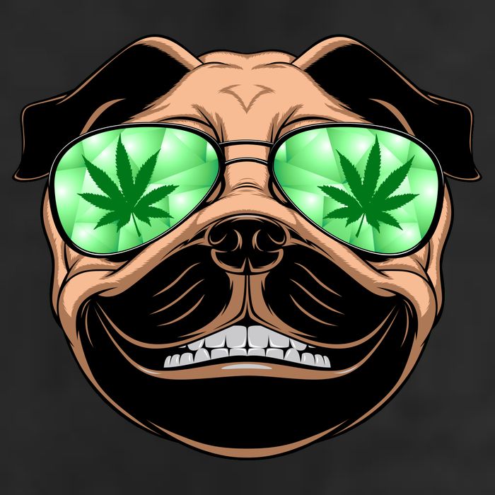 High Off Weed Smiling Pug Tumbler