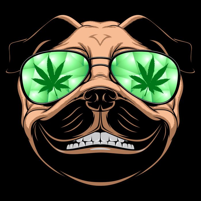 High Off Weed Smiling Pug Magnet