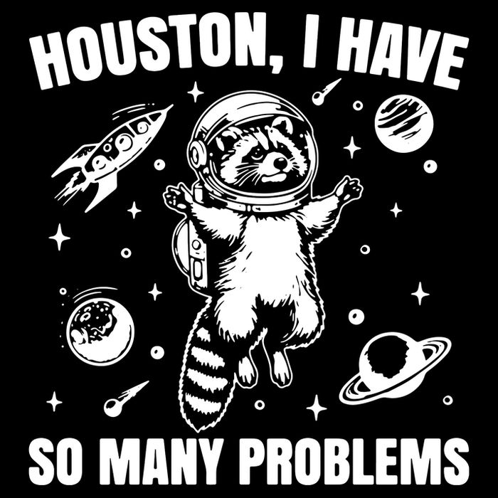 Houston I Have So Many Problems T-Shirt
