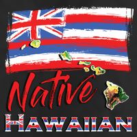 Hawaiian Islands Hawaii Flag Native Hawaiian Adult Drive Performance Visor