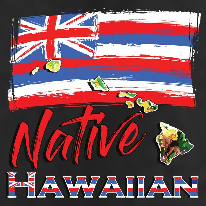 Hawaiian Islands Hawaii Flag Native Hawaiian Adult Drive Performance Visor