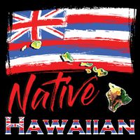 Hawaiian Islands Hawaii Flag Native Hawaiian 16 in Basic Backpack