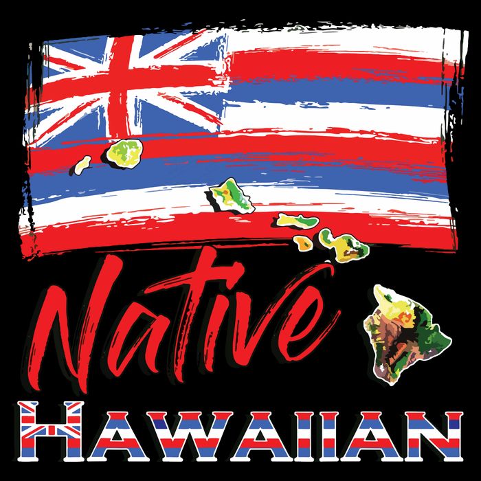 Hawaiian Islands Hawaii Flag Native Hawaiian 16 in Basic Backpack