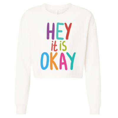 Hey It Is Okay Colorful Cropped Pullover Crew