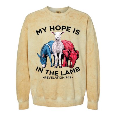 Hope Is In The Lamb My Christian God Jesus Lamb Lover Humor Colorblast Crewneck Sweatshirt