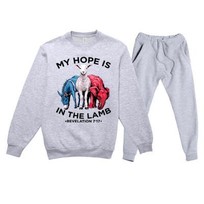 Hope Is In The Lamb My Christian God Jesus Lamb Lover Humor Premium Crewneck Sweatsuit Set