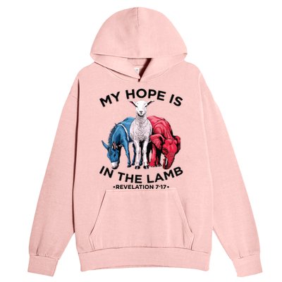 Hope Is In The Lamb My Christian God Jesus Lamb Lover Humor Urban Pullover Hoodie