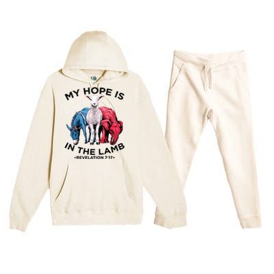 Hope Is In The Lamb My Christian God Jesus Lamb Lover Humor Premium Hooded Sweatsuit Set