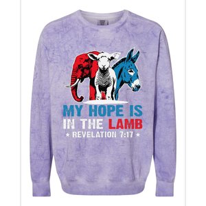 Hope Is In The Lamb My Christian God Jesus Humor Colorblast Crewneck Sweatshirt