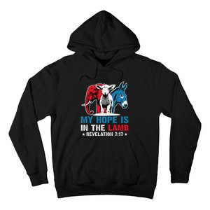 Hope Is In The Lamb My Christian God Jesus Humor Hoodie