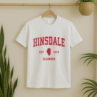 Hinsdale Illinois Il Vintage Sports T-Shirt