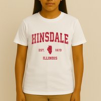 Hinsdale Illinois Il Vintage Sports T-Shirt