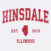 Hinsdale Illinois Il Vintage Sports T-Shirt