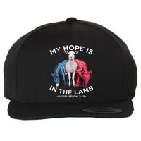 Hope Is In The Lamb My Christian God Jesus Humor Wool Snapback Cap