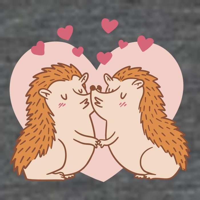 Hedgehogs In Love Flat Bill Trucker Hat