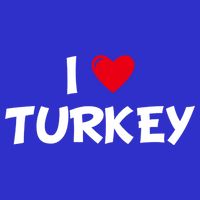 Heart I Love Turkey Cool Gift 16 in Basic Backpack