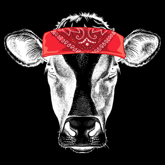Hippie Cow Red Bandanna  Flatbill Hat