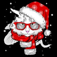 Hipster Christmas Cat Sustainable Bucket Hat