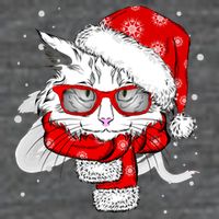 Hipster Christmas Cat Women's V-Neck T-Shirt