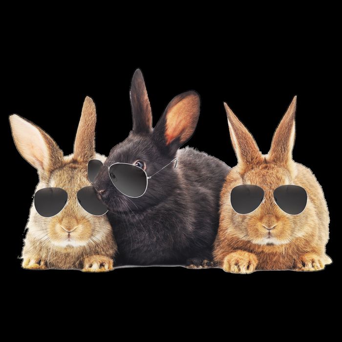Hipster Cool Rabbit City Backpack