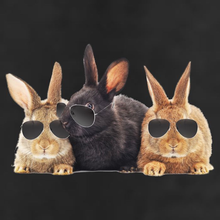 Hipster Cool Rabbit 15oz Campfire Ceramic Mug