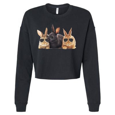 Hipster Cool Rabbit Cropped Pullover Crew
