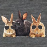 Hipster Cool Rabbit Toddler T-Shirt