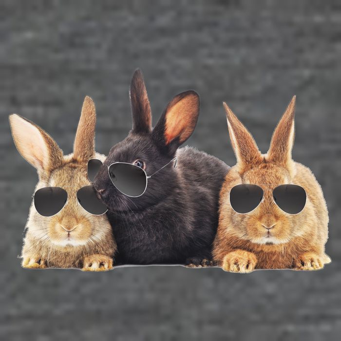 Hipster Cool Rabbit Toddler T-Shirt