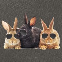 Hipster Cool Rabbit Cotton Canvas Backpack