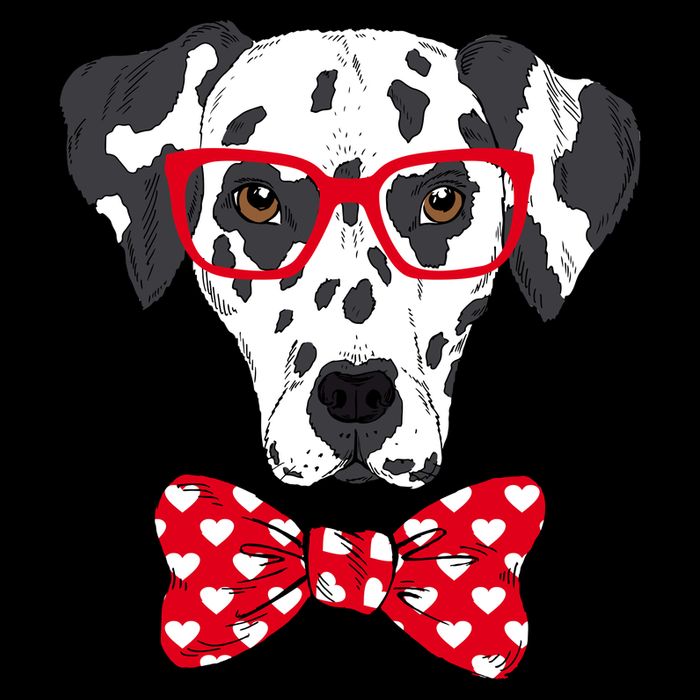 Hipster Dog Dalmatian Wool Snapback Cap