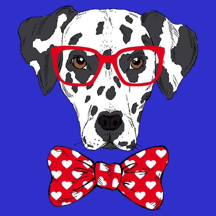 Hipster Dog Dalmatian 16 in Basic Backpack