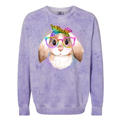 Hipster Rabbit Cute Easter Bunny Colorblast Crewneck Sweatshirt