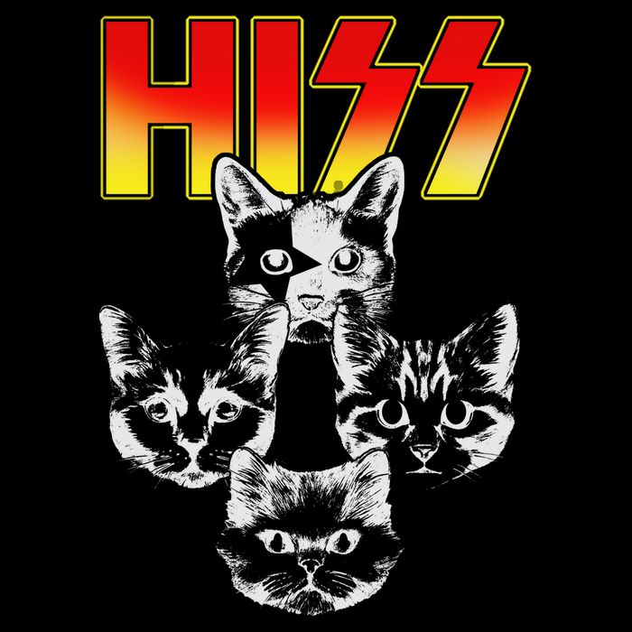 Hiss Music Cat Band Stripe Pom Pom Beanie