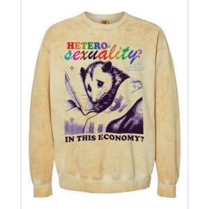 Heterosexuality In This Economy Colorblast Crewneck Sweatshirt