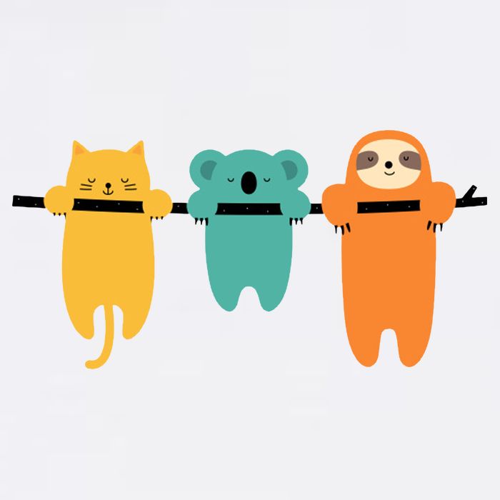 Hang In There Cat Sloth And Koala Cute Bucket Hat