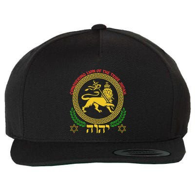 Hebrew Israelite Yhwh Lion Of Judah Yahweh Rastafarian Art Wool Snapback Cap