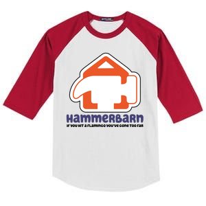 Hammerbarn If You Hit A Flamingo You're Gone Too Far Kids Colorblock Raglan Jersey