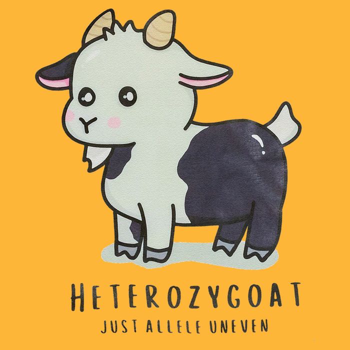 Heterozygoats Just Allele Uneven Funny Genetics Pom Pom 12in Knit Beanie