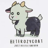Heterozygoats Just Allele Uneven Funny Genetics Sustainable Bucket Hat