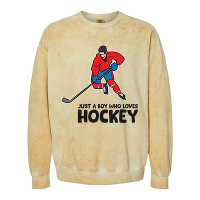 Hockey Just A Who Loves IceHockeys Gift Colorblast Crewneck Sweatshirt