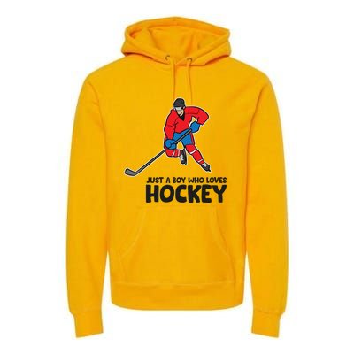 Hockey Just A Who Loves IceHockeys Gift Premium Hoodie