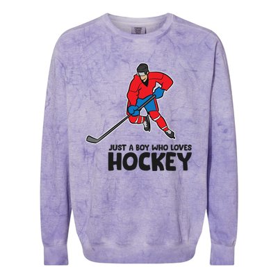 Hockey Just A Who Loves Icehockeys Gift Colorblast Crewneck Sweatshirt