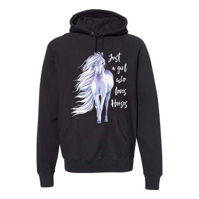 Horse Just A Girl Who Loves Horseback Riding Equestrian Farm Premium Hoodie