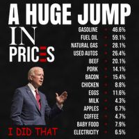 Huge Jump In Prices Joe Biden I Did That Ladies PosiCharge Tri-Blend Wicking Tank